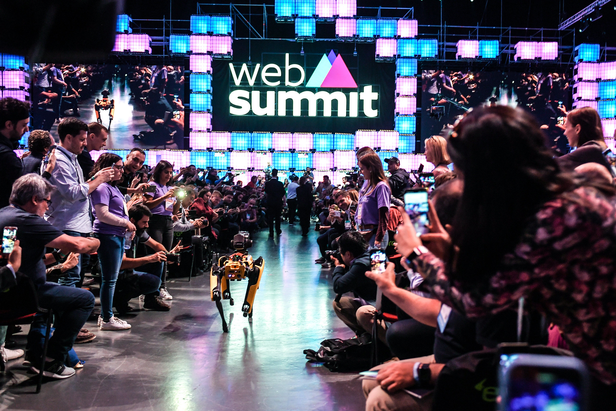 Angel Investors and startups: what we learned at WebSummit