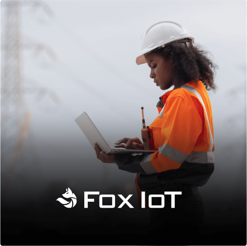 Consultoria em Arquitetura Fox IoT