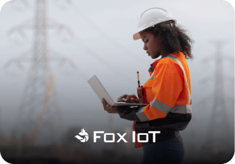 Consultoria em Arquitetura Fox IoT